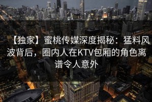 【独家】蜜桃传媒深度揭秘：猛料风波背后，圈内人在KTV包厢的角色离谱令人意外
