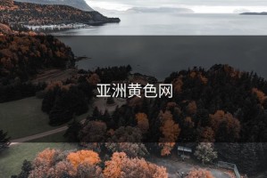 亚洲黄色网