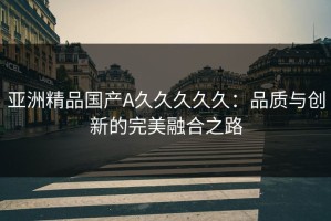 亚洲精品国产A久久久久久：品质与创新的完美融合之路