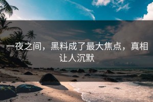 一夜之间，黑料成了最大焦点，真相让人沉默