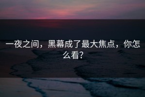 一夜之间，黑幕成了最大焦点，你怎么看？