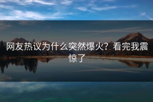 网友热议为什么突然爆火？看完我震惊了