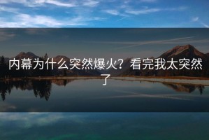 内幕为什么突然爆火？看完我太突然了