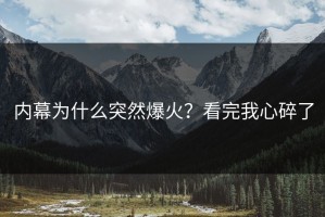 内幕为什么突然爆火？看完我心碎了