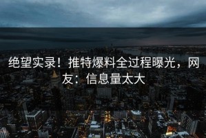 绝望实录！推特爆料全过程曝光，网友：信息量太大