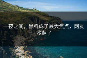 一夜之间，黑料成了最大焦点，网友吵翻了
