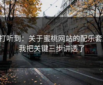刚打听到：关于蜜桃网站的配乐套路，我把关键三步讲透了