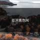 亚洲黄色网