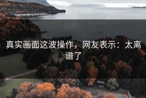真实画面这波操作，网友表示：太离谱了