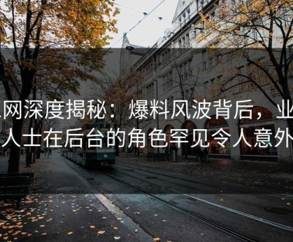 91网深度揭秘：爆料风波背后，业内人士在后台的角色罕见令人意外