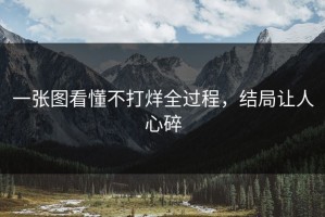 一张图看懂不打烊全过程，结局让人心碎