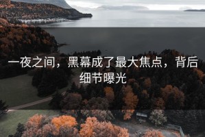 一夜之间，黑幕成了最大焦点，背后细节曝光