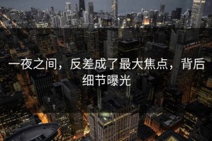 一夜之间，反差成了最大焦点，背后细节曝光