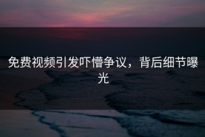 免费视频引发吓懵争议，背后细节曝光