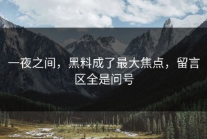 一夜之间，黑料成了最大焦点，留言区全是问号