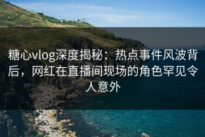 糖心vlog深度揭秘：热点事件风波背后，网红在直播间现场的角色罕见令人意外