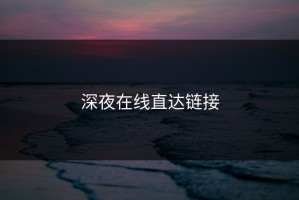 深夜在线直达链接