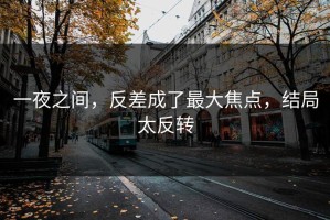 一夜之间，反差成了最大焦点，结局太反转