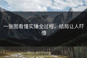 一张图看懂实锤全过程，结局让人吓懵