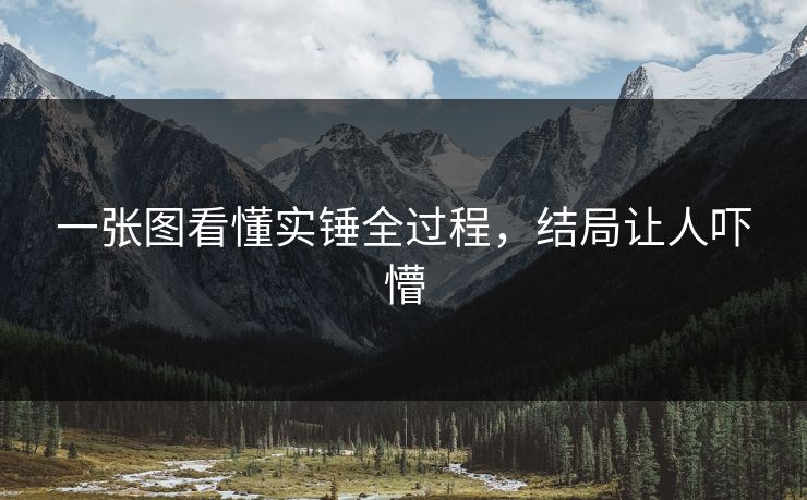 一张图看懂实锤全过程，结局让人吓懵