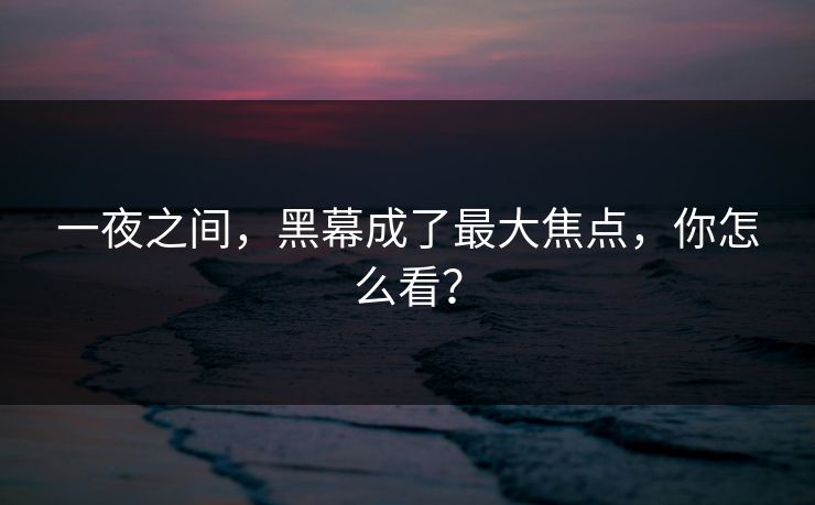 一夜之间，黑幕成了最大焦点，你怎么看？