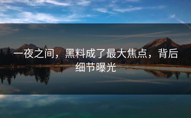 一夜之间，黑料成了最大焦点，背后细节曝光