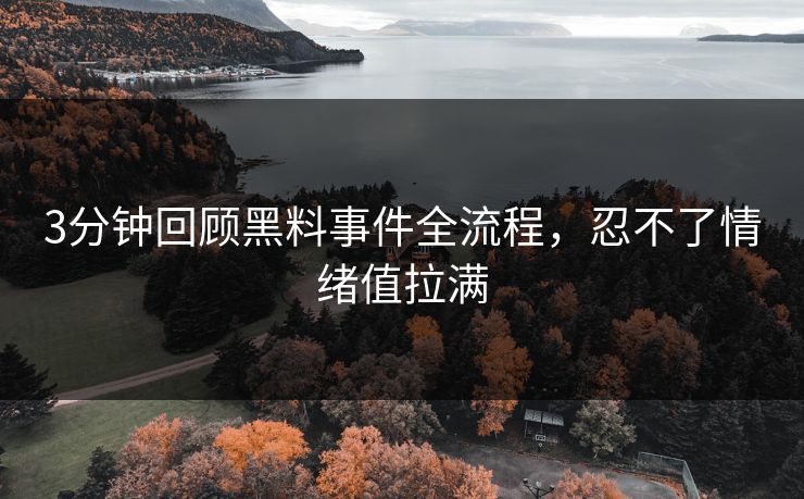 3分钟回顾黑料事件全流程，忍不了情绪值拉满