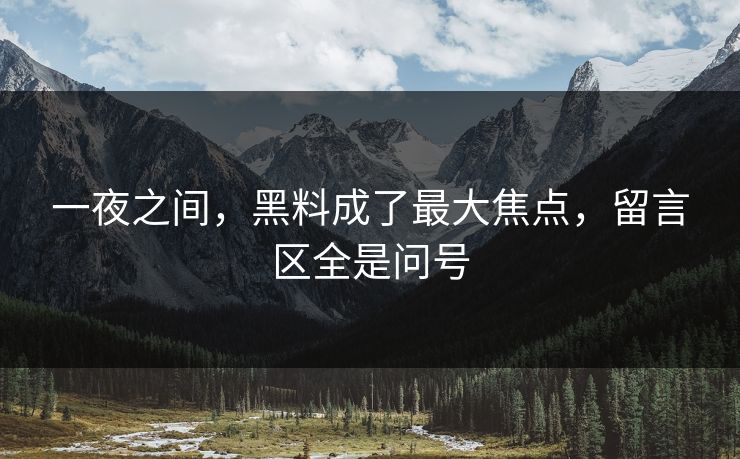 一夜之间，黑料成了最大焦点，留言区全是问号