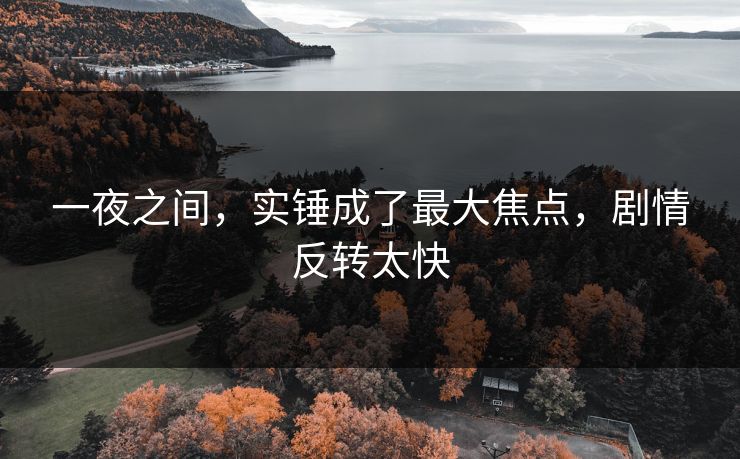 一夜之间，实锤成了最大焦点，剧情反转太快
